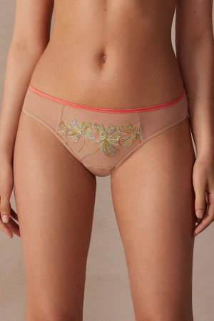 Intimissimi Candy Colors Panties Multicolor | SN-ITMSM57584