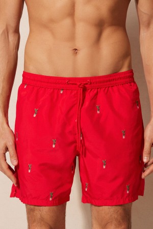 Intimissimi Embroide Cactus Swim Trunks Multicolor | SN-ITMSM58775