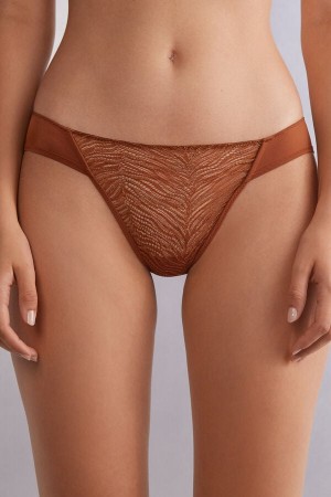 Intimissimi Go Animalier Panties Oransje | SN-ITMSM57615