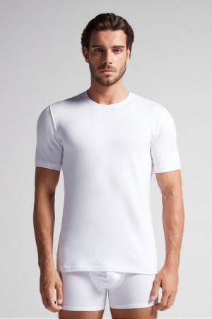 Intimissimi Kort-sleeve Modal-cashmere Top Hvite | SN-ITMSM58609