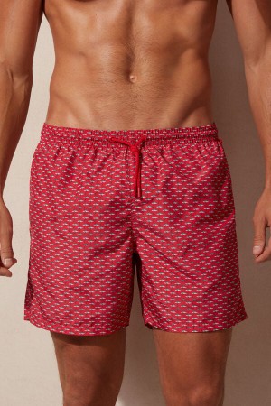 Intimissimi Micro Shark Print Swim Trunks Multicolor | SN-ITMSM58779