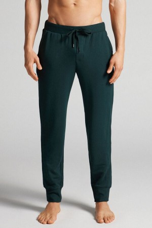 Intimissimi Micromodal Trousers Grønn | SN-ITMSM58695