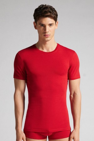 Intimissimi T-shirt In Stretch Supima® Bomull Rød | SN-ITMSM58601