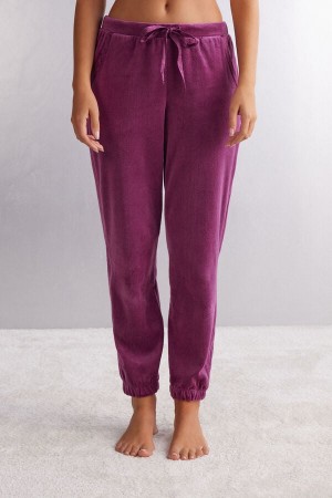 Intimissimi Velvet Paisley Chenille Full Length Pants Lilla | SN-ITMSM58281